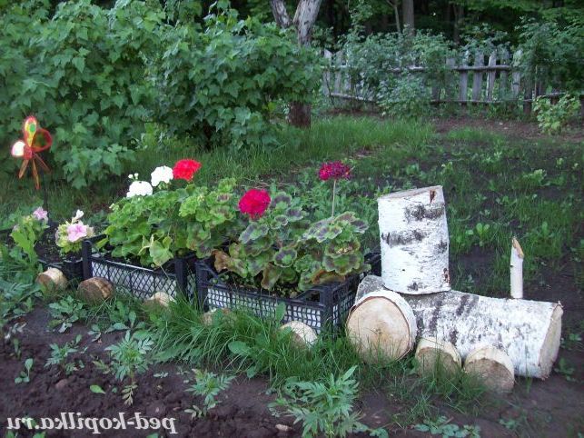 Оформлення садової ділянки своїми руками