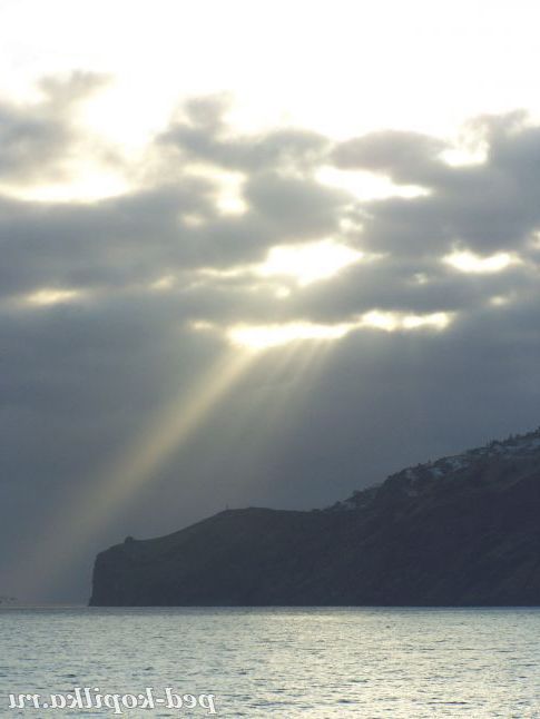 В очікуванні грози