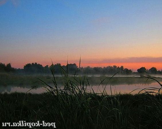 Перші промені