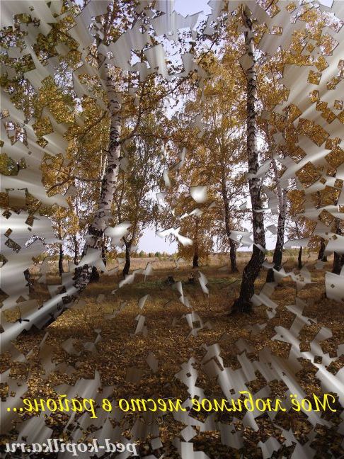 моє улюблене місце в районі