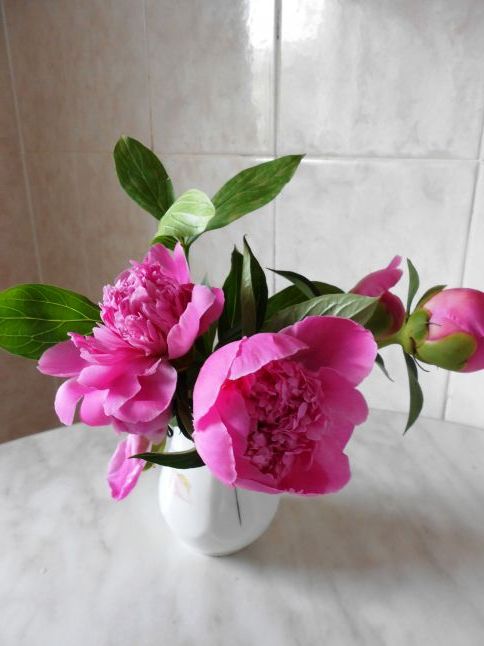 Квіти у вазі