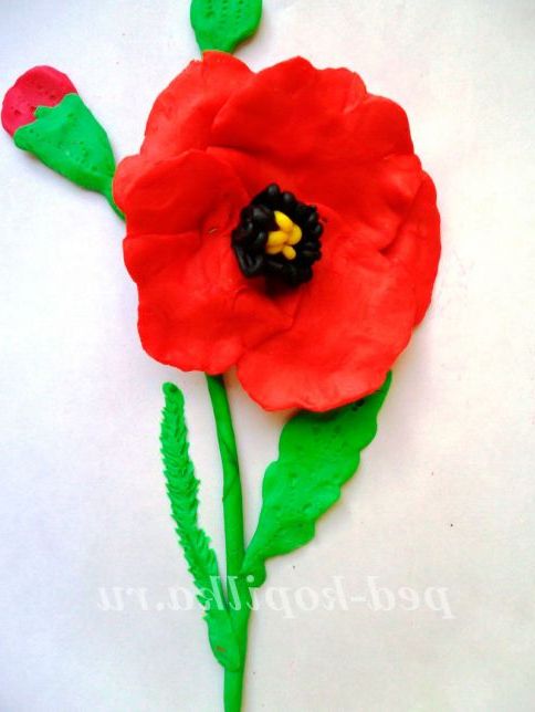 Мак з пластиліну