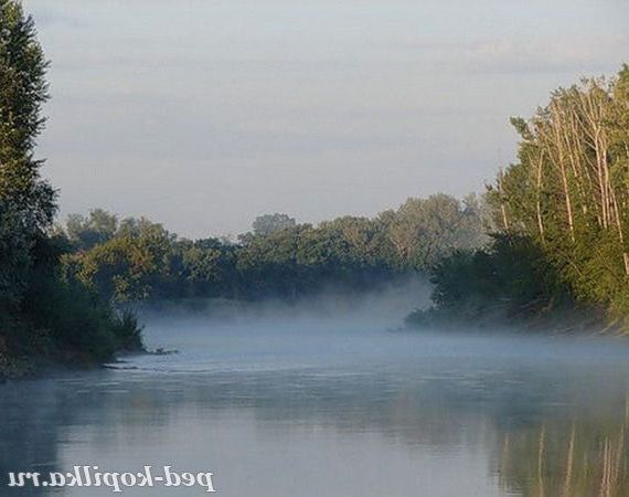бузковий туман