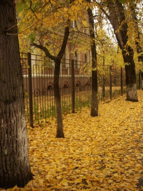 Пейзажі Благовєщенська