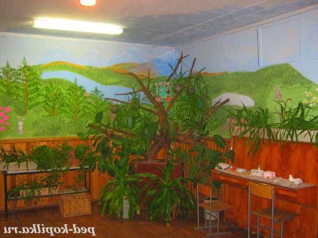 одна зі стін Центру науково-технічної творчості прикрашена природою рідного краю