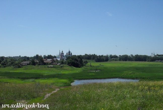 Заливні луки