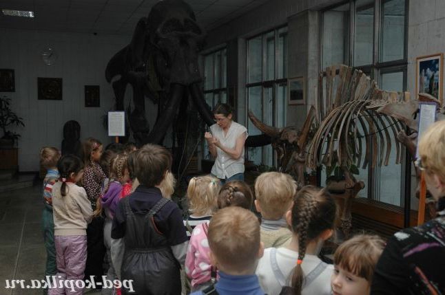 Скелет первісного бізона