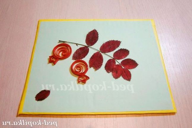 Аплікація Шипшина