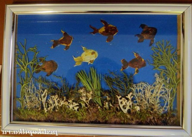 акваріум з природного матеріалу