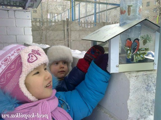 Погодуйте птахів взимку!