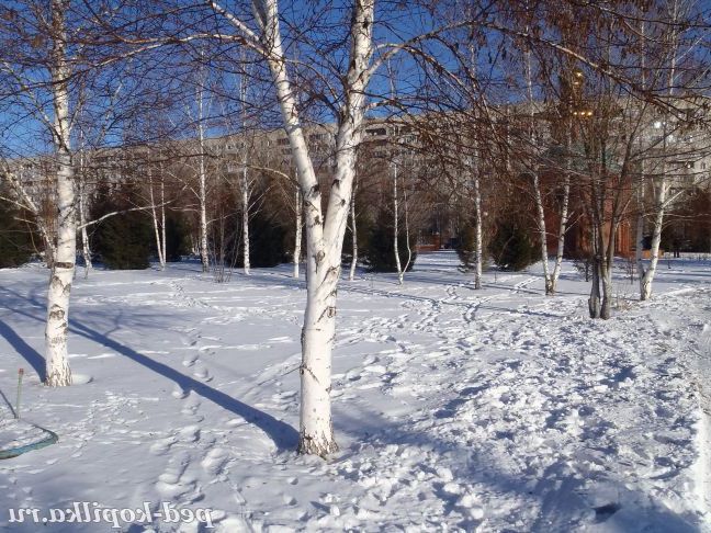 Зимовий деньок