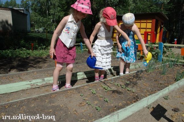 Поливаємо город