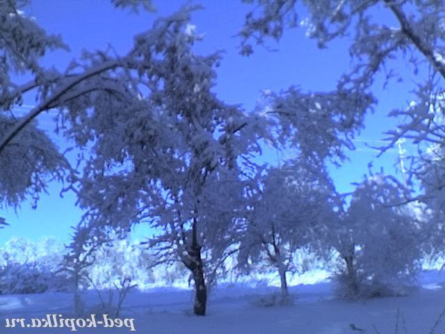 Зимова лазур