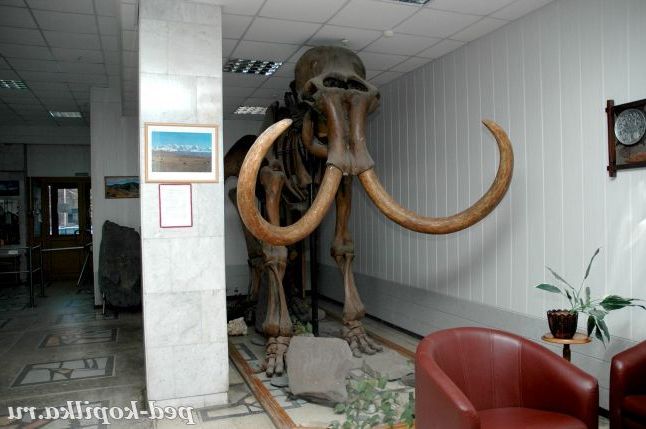 Всі пишність мамонта