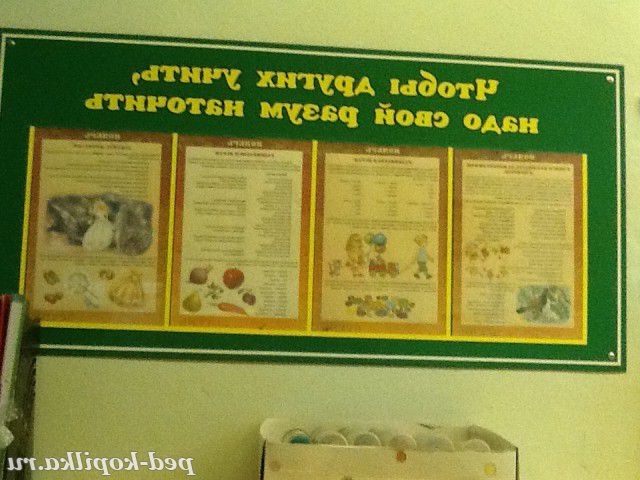 Оформлення стендів в Днз