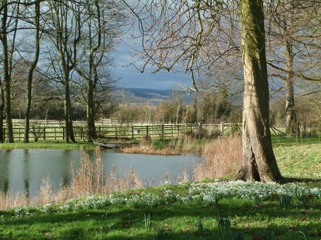 Весняна природа