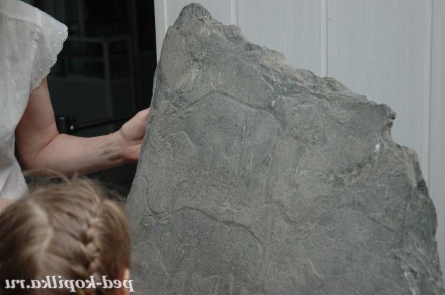 Наскальний живопис наших предків