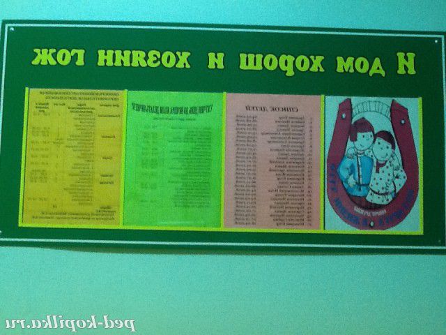 Оформлення стендів в Днз