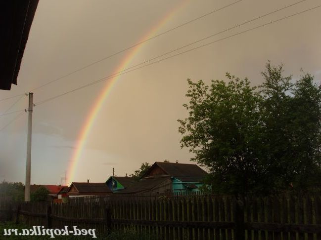 Веселка-дуга