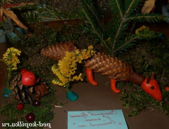 Осінній ліс