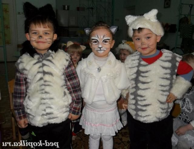 СВЯТО КОТІВ