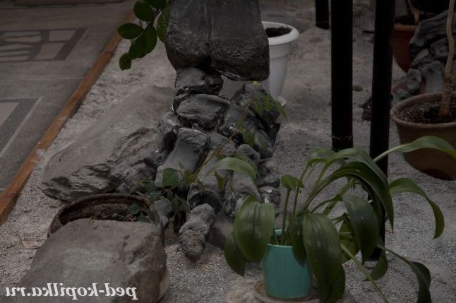 нога трогонтериевого слона