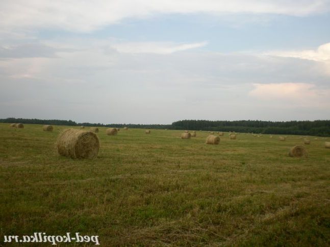 Кінець літа.