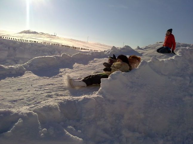 лижна прогулянка в зимовий ліс