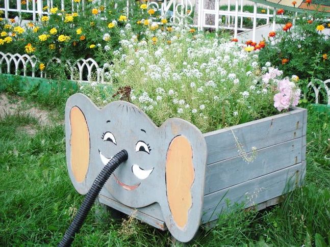 Алиссиум у слонику