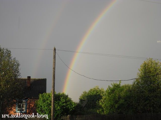 подвійна гадуга