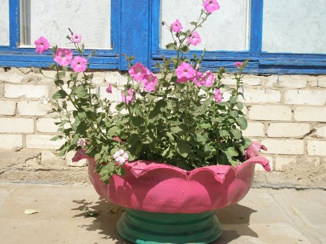 Вазони своїми руками