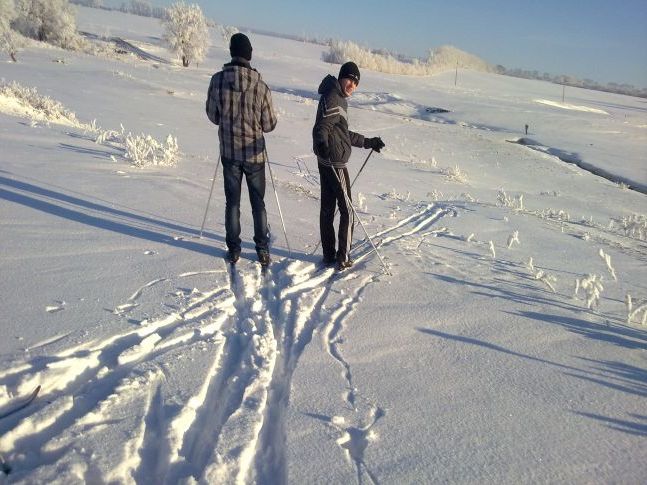 Лижна прогулянка в зимовий ліс