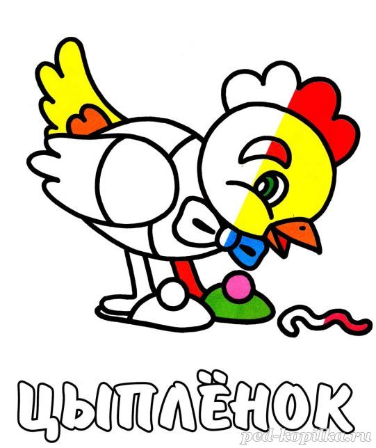 Розмальовка. курча