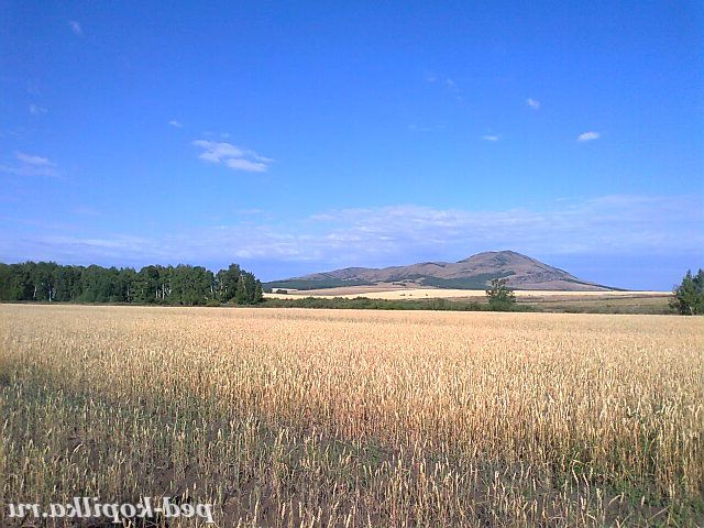 Мій рідний край!