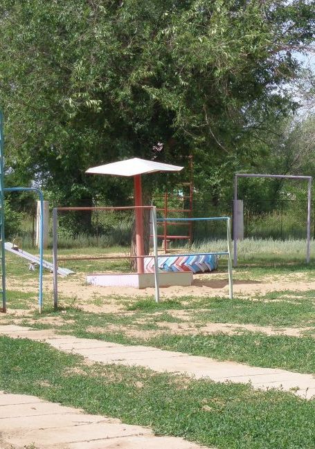 Пісочниця - грибок