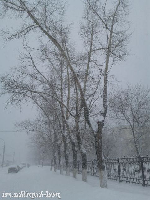 Зимова дорога