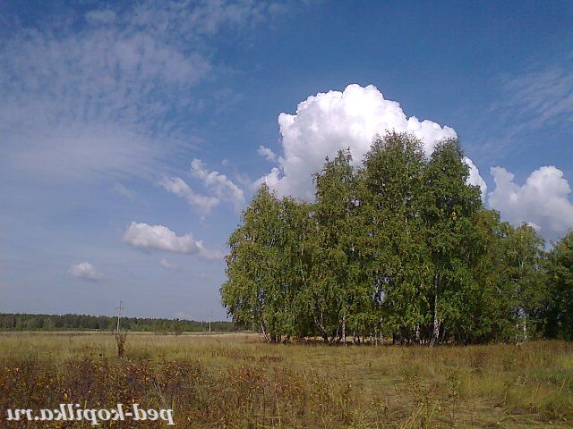 Мій рідний край!