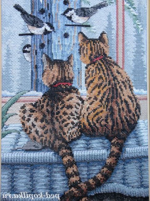 Кішки у віконця