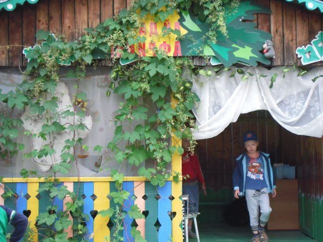 Дикий виноград