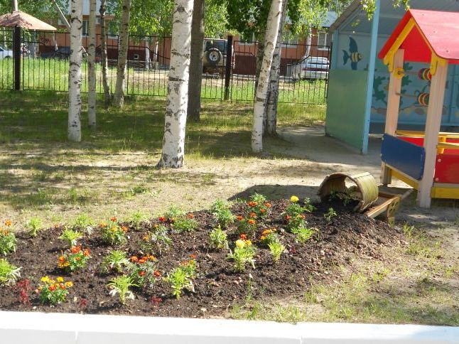 Оформлення ділянки в ДНЗ