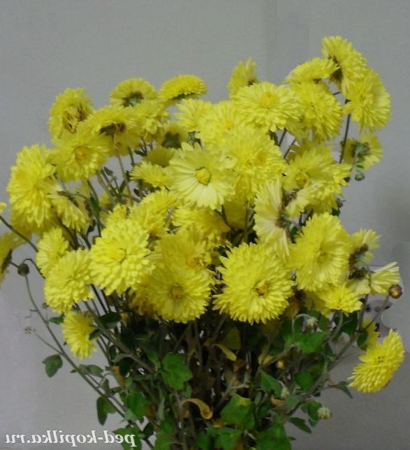 Золотий букет