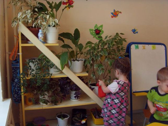 Зелений куточок у дитячому садку