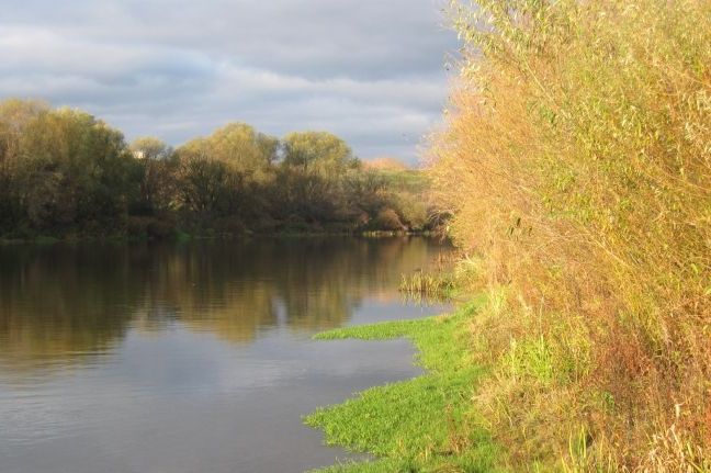 Золота осінь