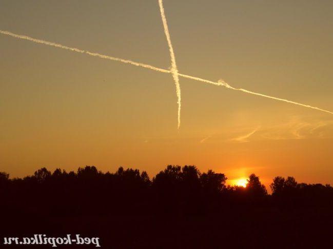 літній відпочинок