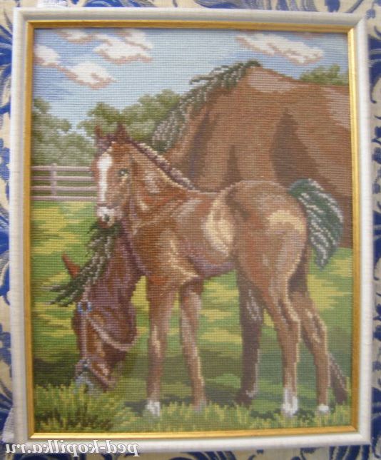 Кінь з лошам