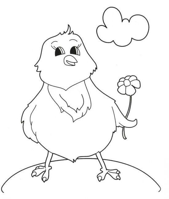 Розмальовка. Курча