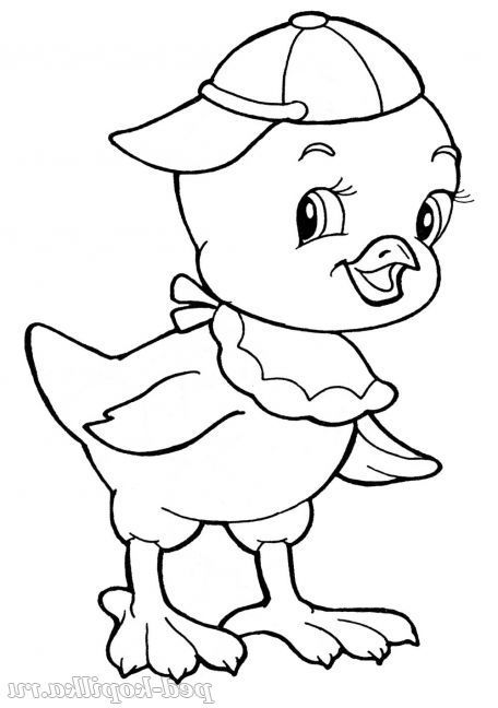 Розмальовка курча