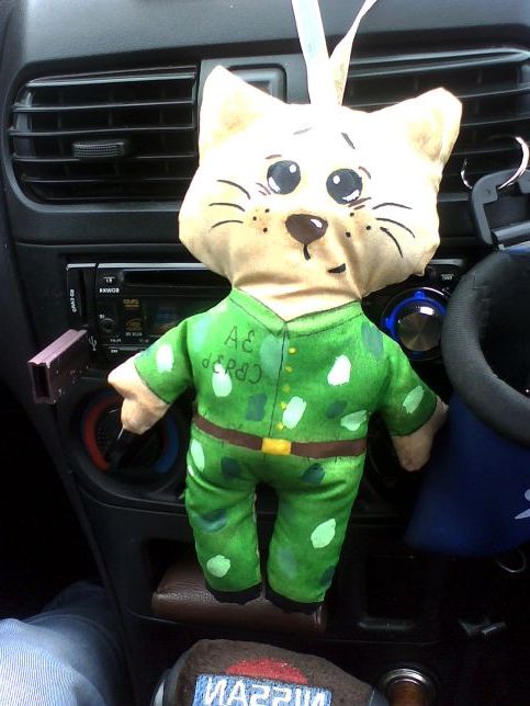 Кіт зв'язківець