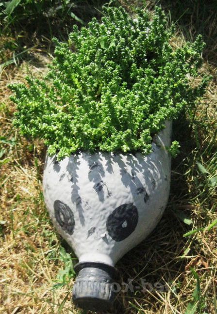 Літній оформлення ділянки ДНЗ своїми руками