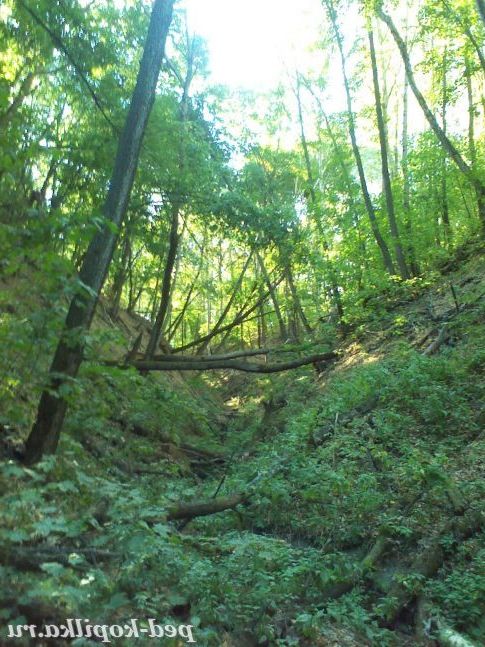 дорога до джерела